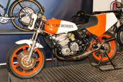3.cachorro-motorbike