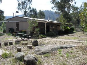 Woolshed cabin